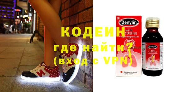 индика Пересвет