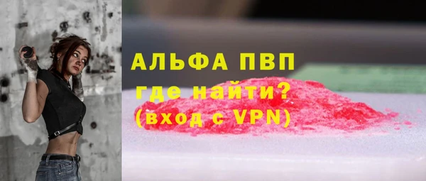индика Пересвет