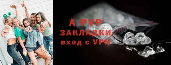 индика Пересвет