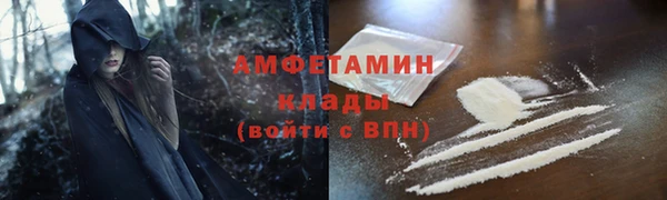 индика Пересвет