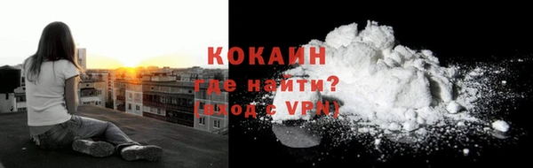 индика Пересвет