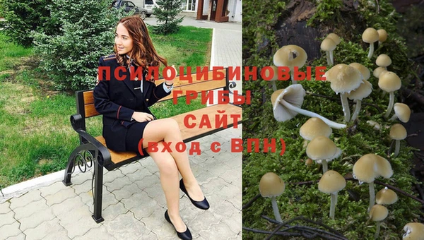 индика Пересвет