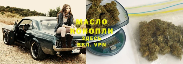 индика Пересвет