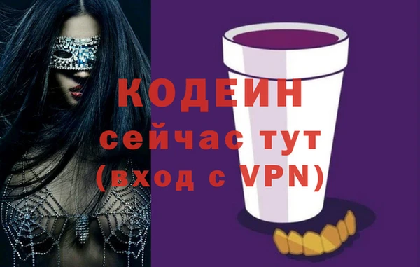 индика Пересвет