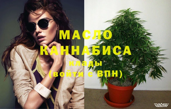 индика Пересвет